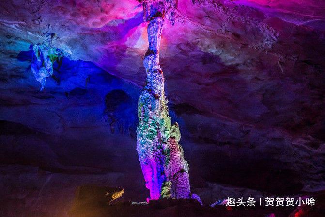 逃出白海豹洞