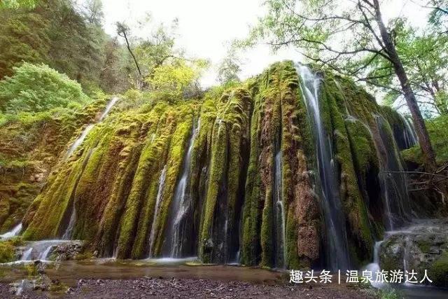 一套珍品