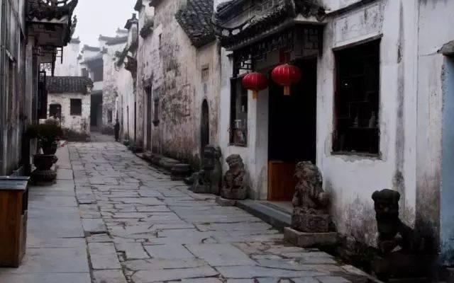 2024年中国动力煤市场深度调研报告